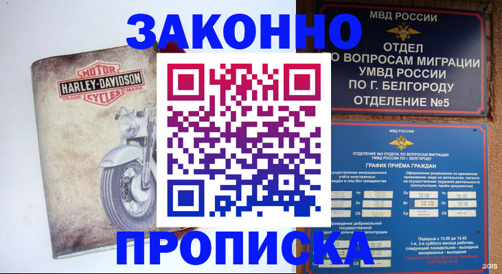 прописка для школы в Абазе